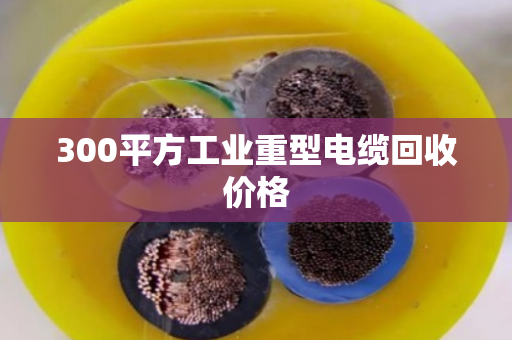 300平方工业重型电缆回收价格