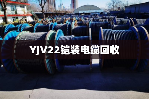 YJV22铠装电缆回收 YJV22铠装电缆回收