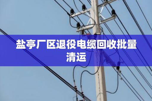 盐亭厂区退役电缆回收批量清运