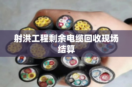 射洪工程剩余电缆回收现场结算