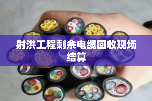 射洪工程剩余电缆回收现场结算