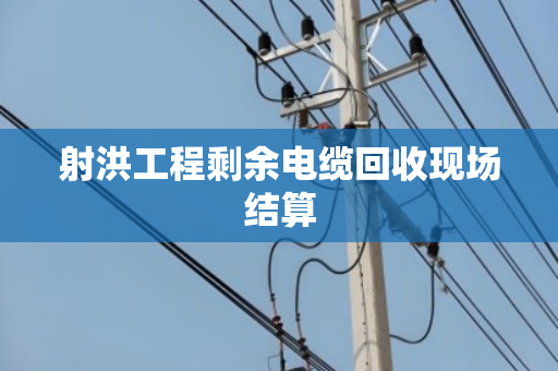 射洪工程剩余电缆回收现场结算