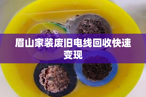 眉山家装废旧电线回收快速变现
