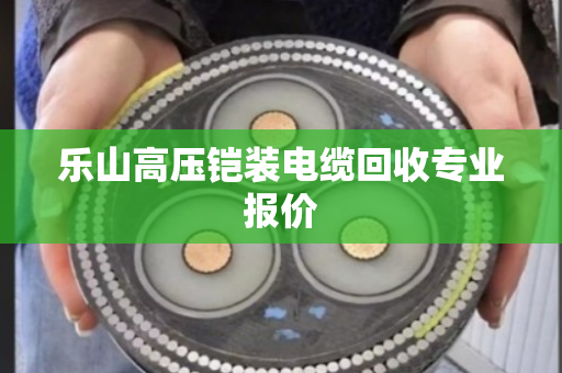 乐山高压铠装电缆回收专业报价 乐山高压铠装电缆回收专业报价