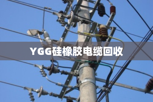 YGG硅橡胶电缆回收