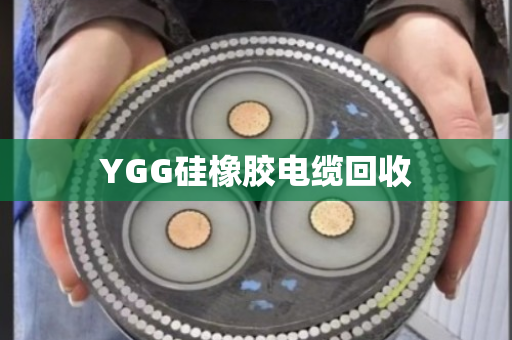 YGG硅橡胶电缆回收