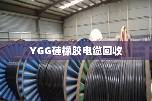 YGG硅橡胶电缆回收