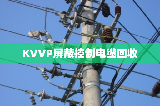 KVVP屏蔽控制电缆回收