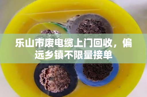 乐山市废电缆上门回收,偏远乡镇不限量接单 乐山市废电缆上门回收,偏远乡镇不限量接单