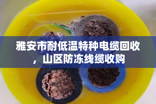雅安市耐低温特种电缆回收,山区防冻线缆收购 雅安市耐低温特种电缆回收,山区防冻线缆收购