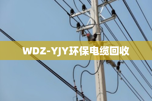 WDZ-YJY环保电缆回收
