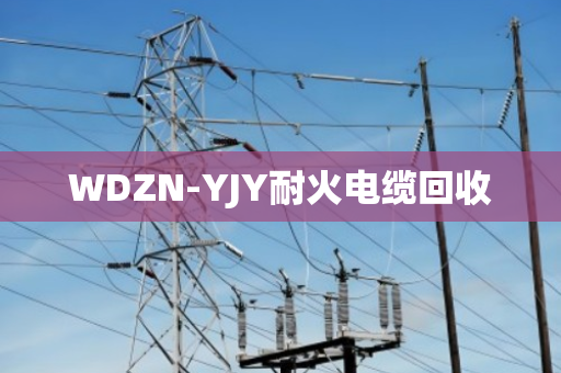 WDZN-YJY耐火电缆回收