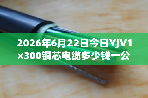 2026年6月22日今日YJV1×300铜芯电缆多少钱一公斤 2026年6月22日今日YJV1×300铜芯电缆多少钱一公斤