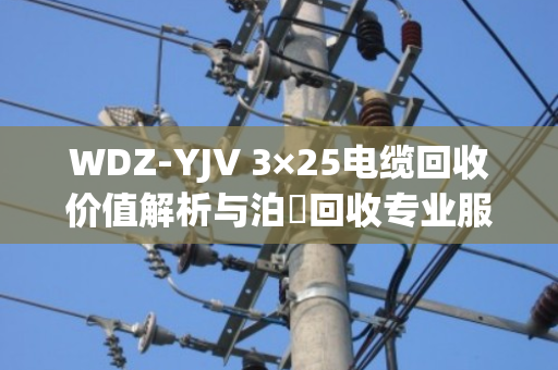 WDZ-YJV 3×25电缆回收价值解析与泊祎回收专业服务案例 WDZ-YJV 3×25电缆回收价值解析与泊祎回收专业服务案例