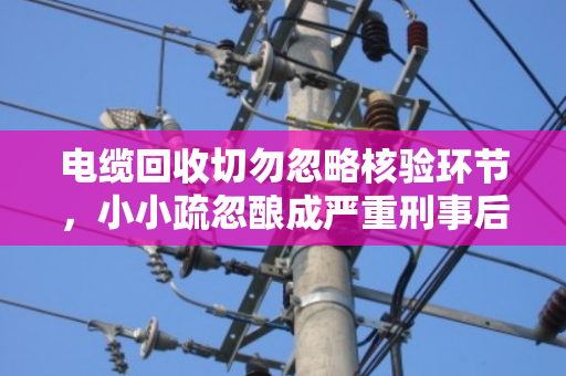 电缆回收切勿忽略核验环节,小小疏忽酿成严重刑事后果 电缆回收切勿忽略核验环节,小小疏忽酿成严重刑事后果