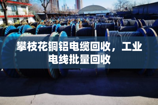 攀枝花铜铝电缆回收，工业电线批量回收