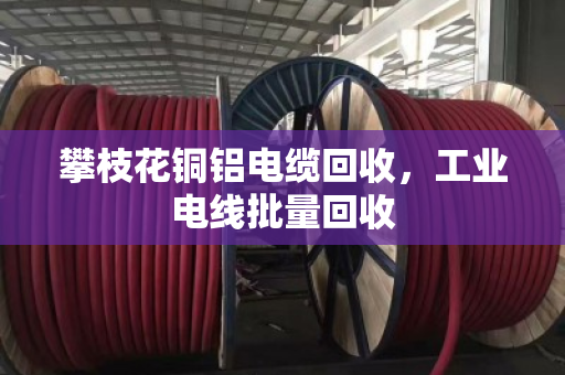 攀枝花铜铝电缆回收，工业电线批量回收