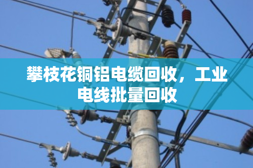 攀枝花铜铝电缆回收，工业电线批量回收