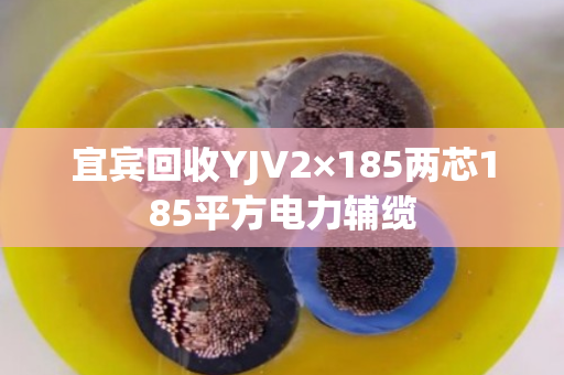 宜宾回收YJV2×185两芯185平方电力辅缆