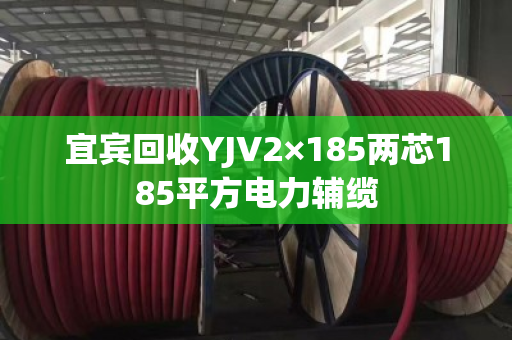 宜宾回收YJV2×185两芯185平方电力辅缆