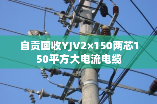 自贡回收YJV2×150两芯150平方大电流电缆