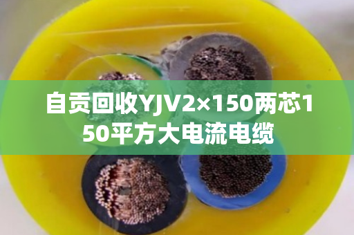 自贡回收YJV2×150两芯150平方大电流电缆
