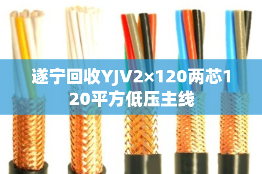 遂宁回收YJV2×120两芯120平方低压主线
