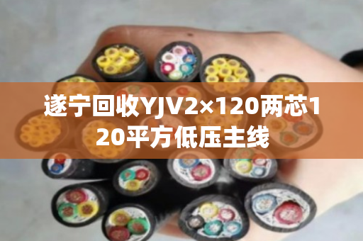 遂宁回收YJV2×120两芯120平方低压主线