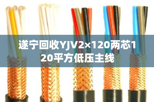 遂宁回收YJV2×120两芯120平方低压主线