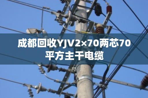 成都回收YJV2×70两芯70平方主干电缆 成都回收YJV2×70两芯70平方主干电缆