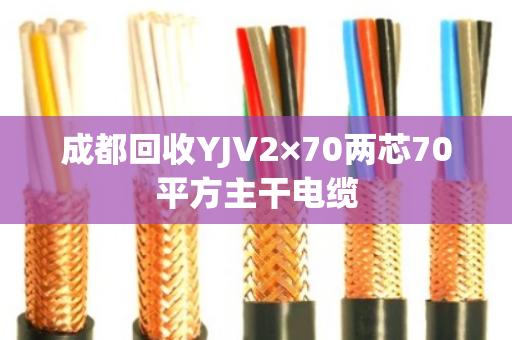 成都回收YJV2×70两芯70平方主干电缆