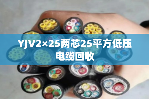 YJV2×25两芯25平方低压电缆回收