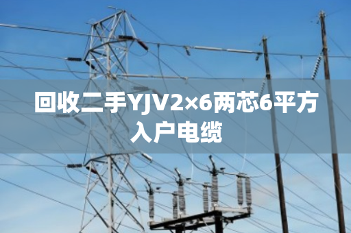 回收二手YJV2×6两芯6平方入户电缆