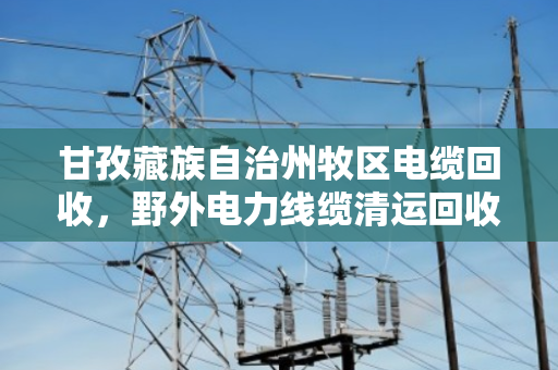 甘孜藏族自治州牧区电缆回收,野外电力线缆清运回收 甘孜藏族自治州牧区电缆回收,野外电力线缆清运回收