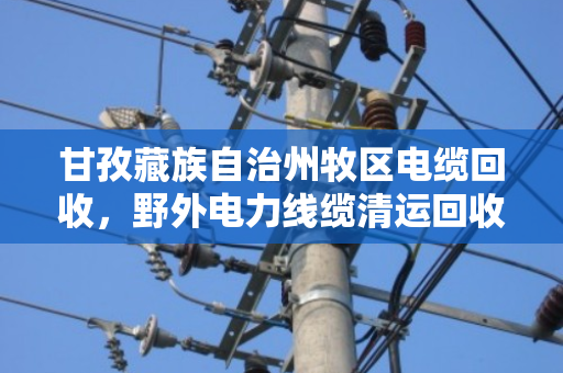 甘孜藏族自治州牧区电缆回收,野外电力线缆清运回收 甘孜藏族自治州牧区电缆回收,野外电力线缆清运回收