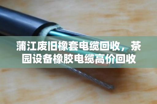 蒲江废旧橡套电缆回收,茶园设备橡胶电缆高价回收 蒲江废旧橡套电缆回收,茶园设备橡胶电缆高价回收