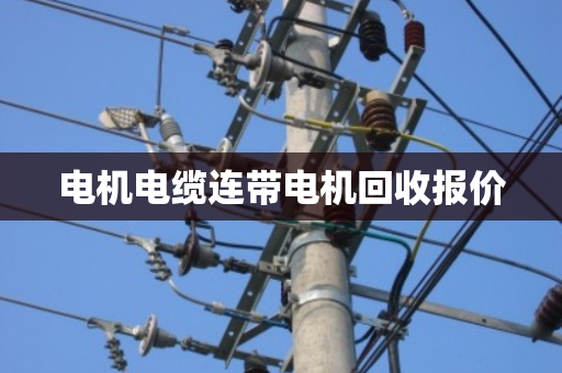 电机电缆连带电机回收报价 电机电缆连带电机回收报价