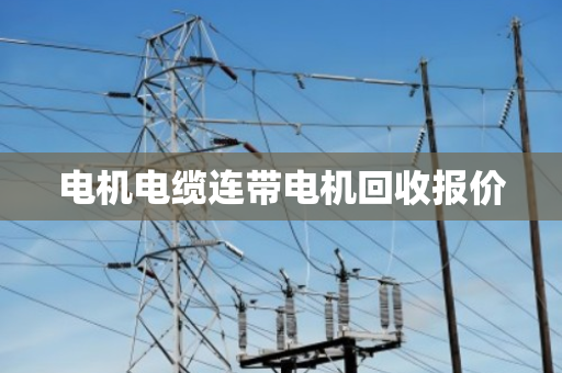 电机电缆连带电机回收报价