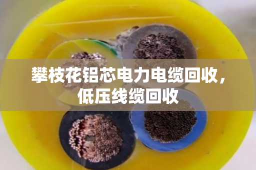 攀枝花铝芯电力电缆回收，低压线缆回收