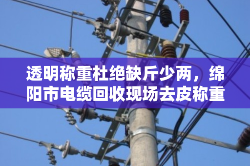 透明称重杜绝缺斤少两，绵阳市电缆回收现场去皮称重全程实录