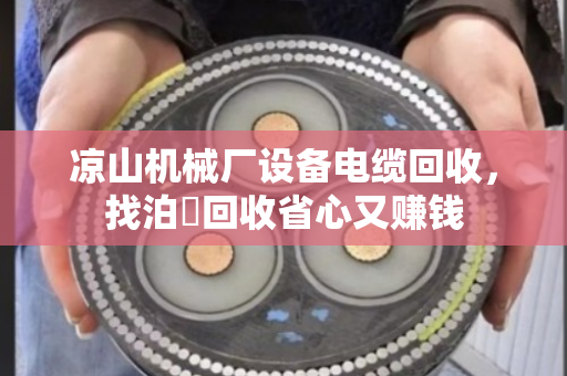 凉山机械厂设备电缆回收，找泊祎回收省心又赚钱