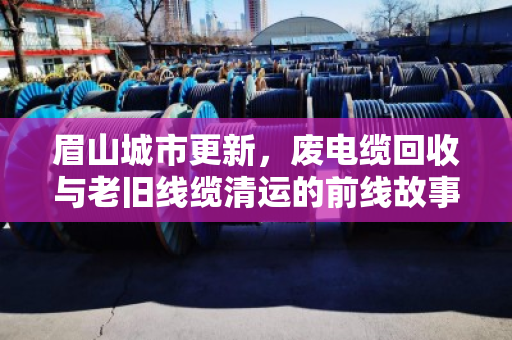 眉山城市更新，废电缆回收与老旧线缆清运的前线故事