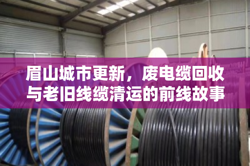 眉山城市更新，废电缆回收与老旧线缆清运的前线故事