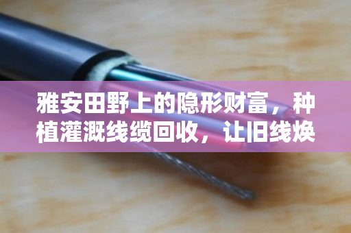 雅安田野上的隐形财富,种植灌溉线缆回收,让旧线焕发新生机 雅安田野上的隐形财富,种植灌溉线缆回收,让旧线焕发新生机
