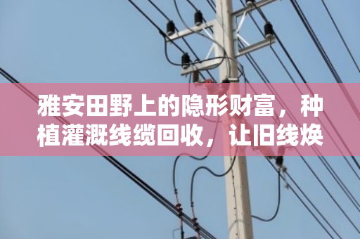 雅安田野上的隐形财富，种植灌溉线缆回收，让旧线焕发新生机
