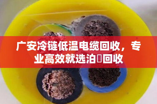 广安冷链低温电缆回收，专业高效就选泊祎回收
