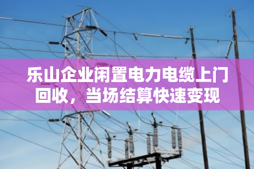乐山企业闲置电力电缆上门回收，当场结算快速变现