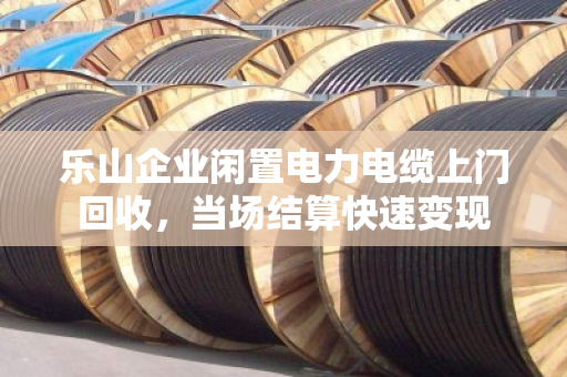 乐山企业闲置电力电缆上门回收，当场结算快速变现