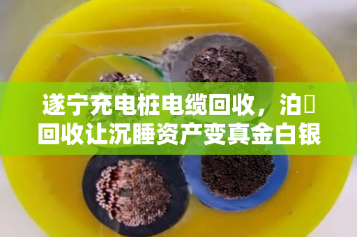 遂宁充电桩电缆回收，泊祎回收让沉睡资产变真金白银