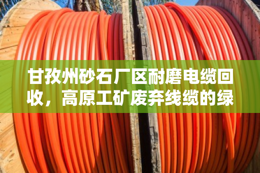 甘孜州砂石厂区耐磨电缆回收,高原工矿废弃线缆的绿色循环密码 甘孜州砂石厂区耐磨电缆回收,高原工矿废弃线缆的绿色循环密码